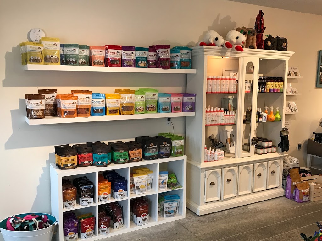 Doodle Dogs Inc | 3b Parkdale Crescent NW, Calgary, AB T2N 3T8, Canada | Phone: (587) 349-3647