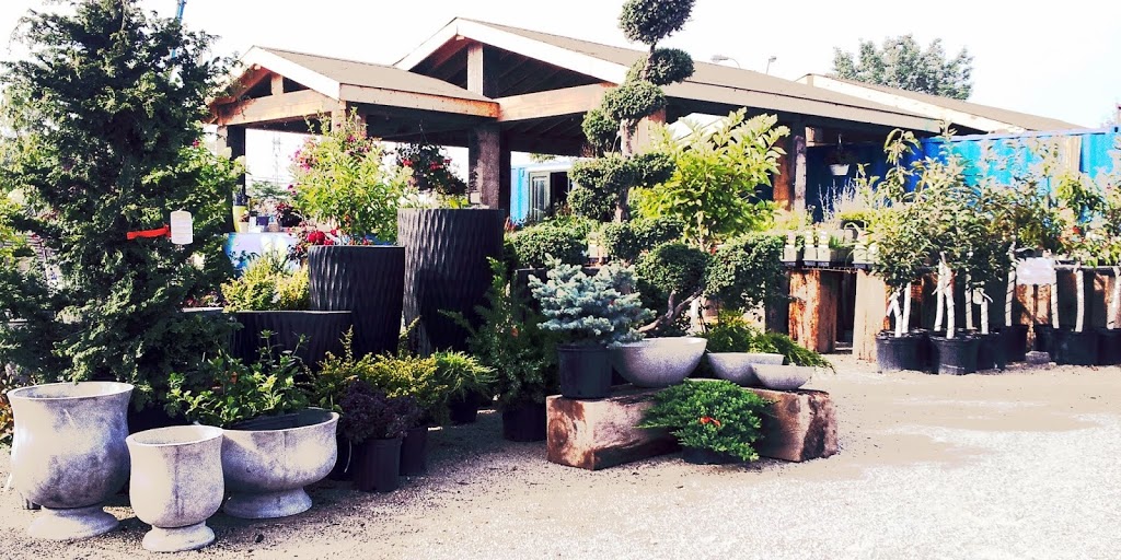 Beech Nursery | 4 Carlaw Ave, Toronto, ON M4M 2R5, Canada | Phone: (416) 461-6555