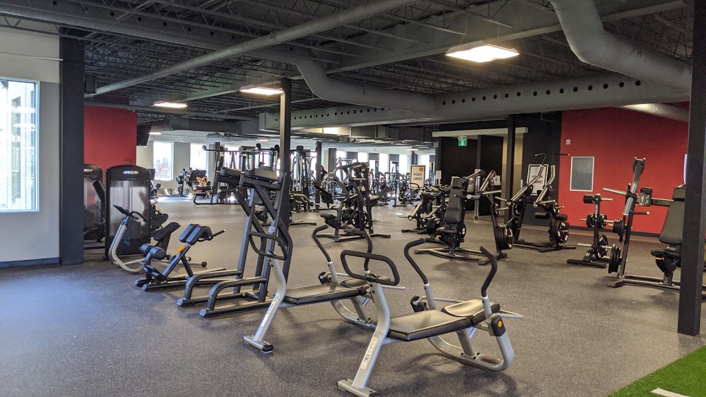 World Gym | 9200 Boulevard de lAcadie, Montréal, QC H4N 2T2, Canada | Phone: (438) 500-6500