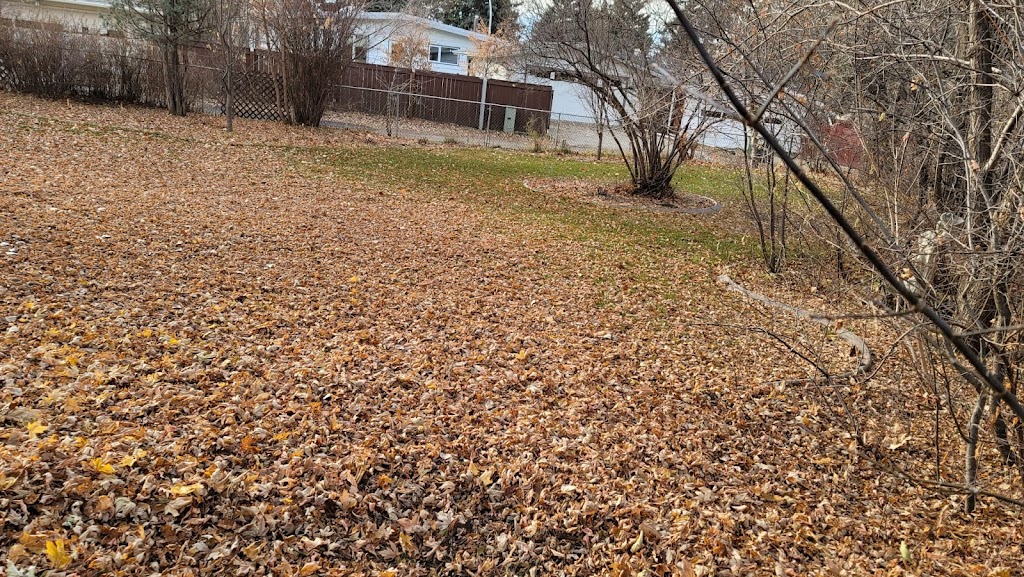 Seasons 360 - Snow Removal & Lawn Care Services . | 3650 Keswick Blvd SW, Edmonton, AB T6W 3B4, Canada | Phone: (780) 729-0360
