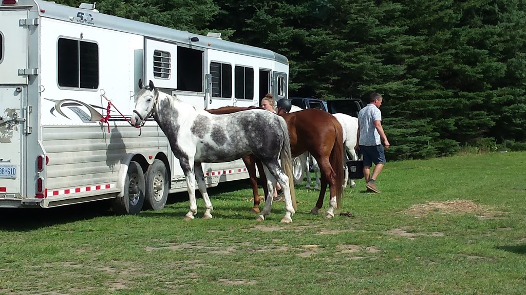 Caledon Equestrian Park | 200 Pine Ave, Palgrave, ON L7E 0M1, Canada | Phone: (905) 880-5344