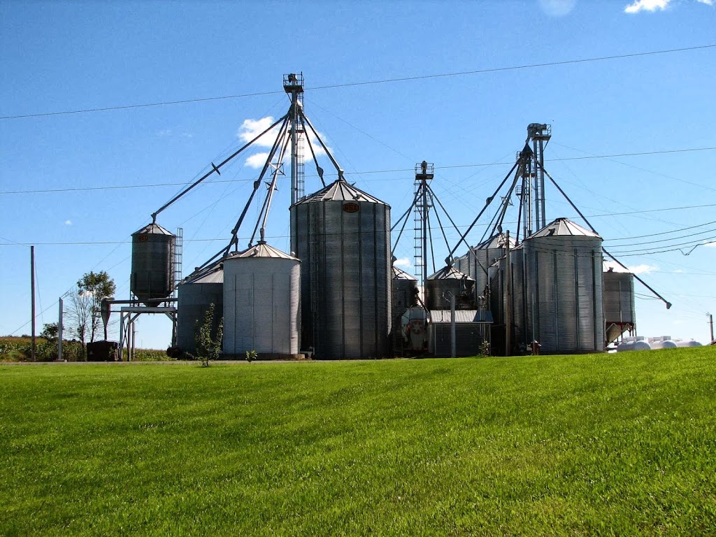 Cereales Bellevue Inc | 303 Rang Bellevue, Saint-Robert, QC J0G 1S0, Canada | Phone: (450) 782-2806