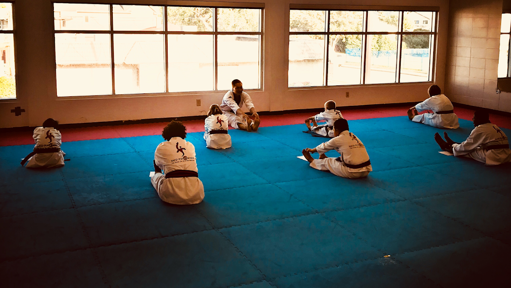 Red Phoenix Tae Kwon Do | 620 46 Ave NE #104, Calgary, AB T2E 8M9, Canada | Phone: (403) 277-7937