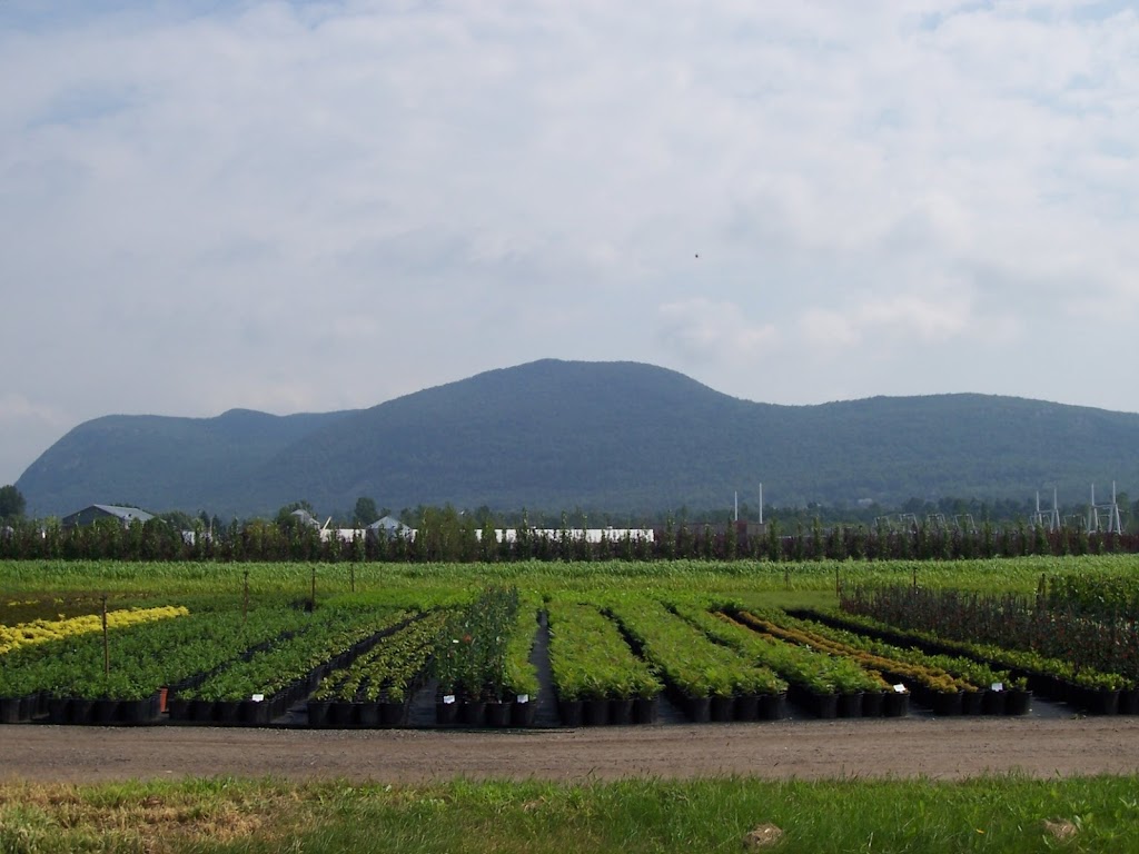 Pépinière Y.Yvon Auclair et fils enr. | 1386 Chem. Ozias-Leduc, Mont-Saint-Hilaire, QC J3G 4S6, Canada | Phone: (450) 467-3832