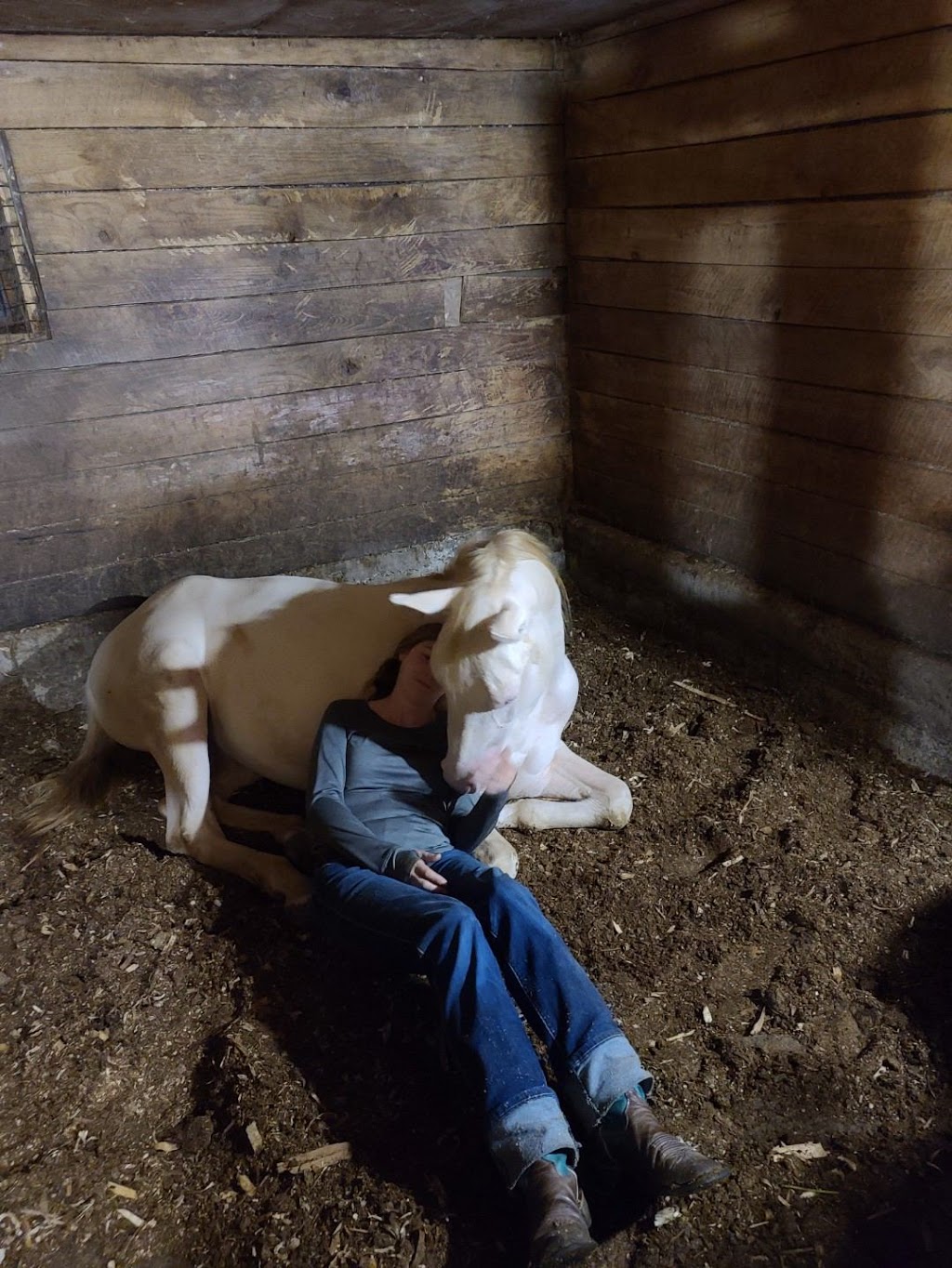 Ghost Hollow Farms | 9013 Pigram Rd, Brownsville, ON N0L 1C0, Canada | Phone: (519) 877-0396