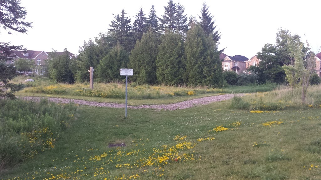 RAY STREET PARK | 100 South Unionville Ave, Unionville, ON L3R 6B8, Canada