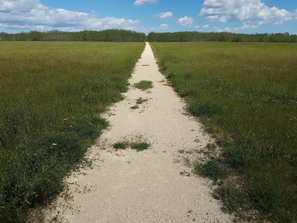 Narcisse Snake Dens | MB-17, Narcisse, MB R0C 2H0, Canada | Phone: (204) 945-3744