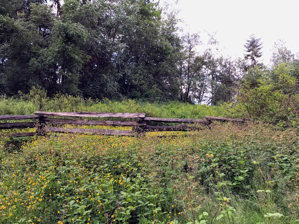 Mundy Park Bike Skills Trail - Beginner Loop | Mariner Way, Coquitlam, BC V3K 1N4, Canada | Phone: (604) 927-3000