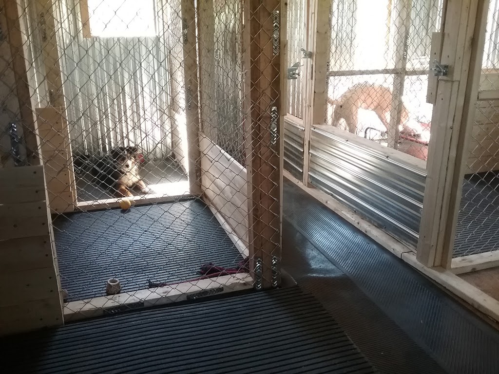 Une Belle Vie De Chien | 9500 Rang Sainte-Marguerite, Saint-Philibert, QC G0M 1X0, Canada | Phone: (418) 222-5551
