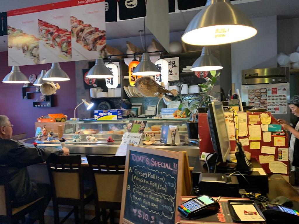 Sushi Train Ltd | 15380 102a Ave, Surrey, BC V3R 7K1, Canada | Phone: (604) 580-8802