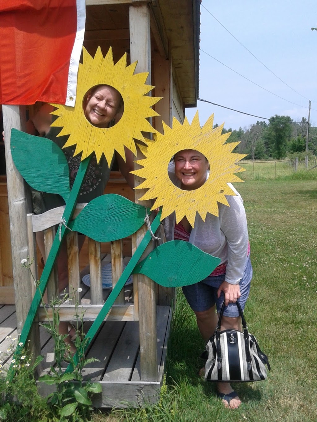 Quaker Oaks Farm | 789 Monck Rd, Sebright, ON L0K 1W0, Canada | Phone: (705) 833-2370