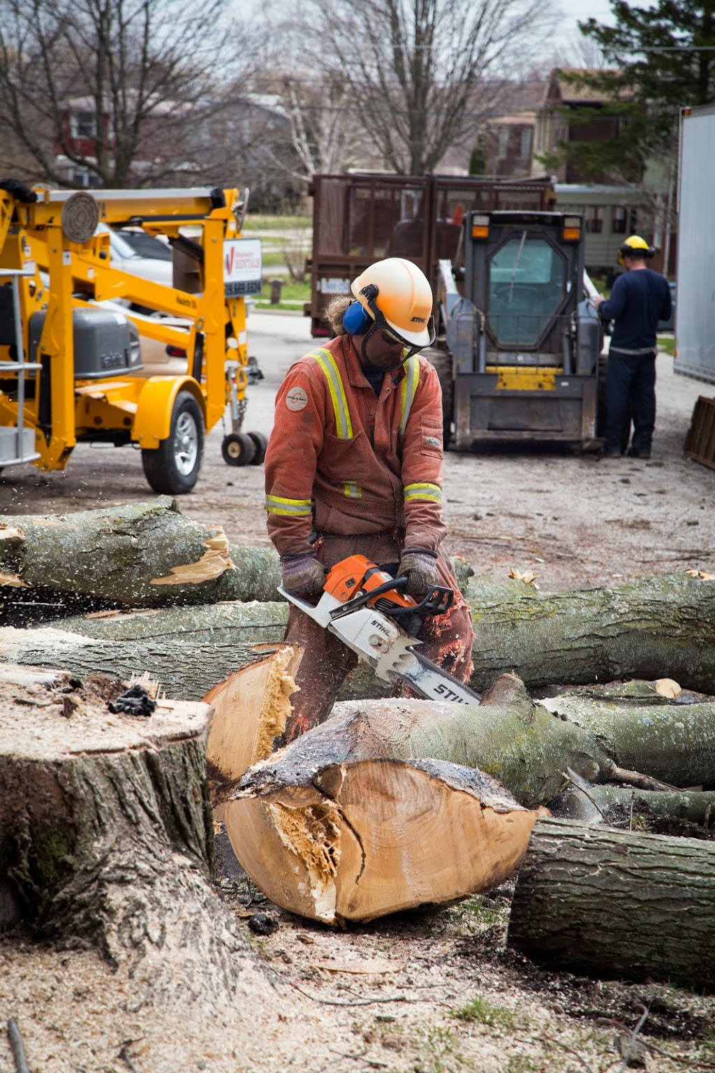 Metzger Tree Service | 196 McIntyre Dr unit 7, Kitchener, ON N2R 1H4, Canada | Phone: (519) 954-5649