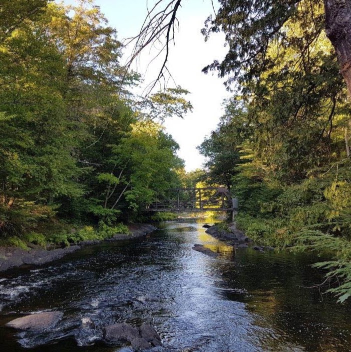 Black River Wilderness Park 7476 Simcoe County Rd 169 Washago On