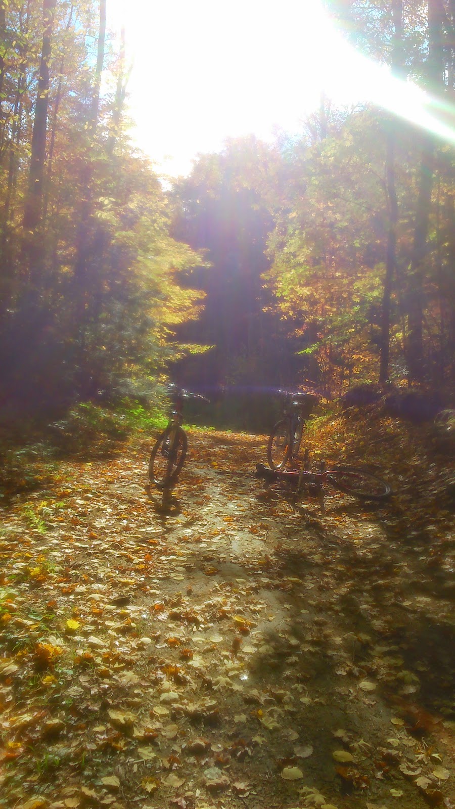 Parc Jacques-Beauchamp | Rue Notre Dame, Mirabel, QC J7J 2M8, Canada | Phone: (450) 475-8653