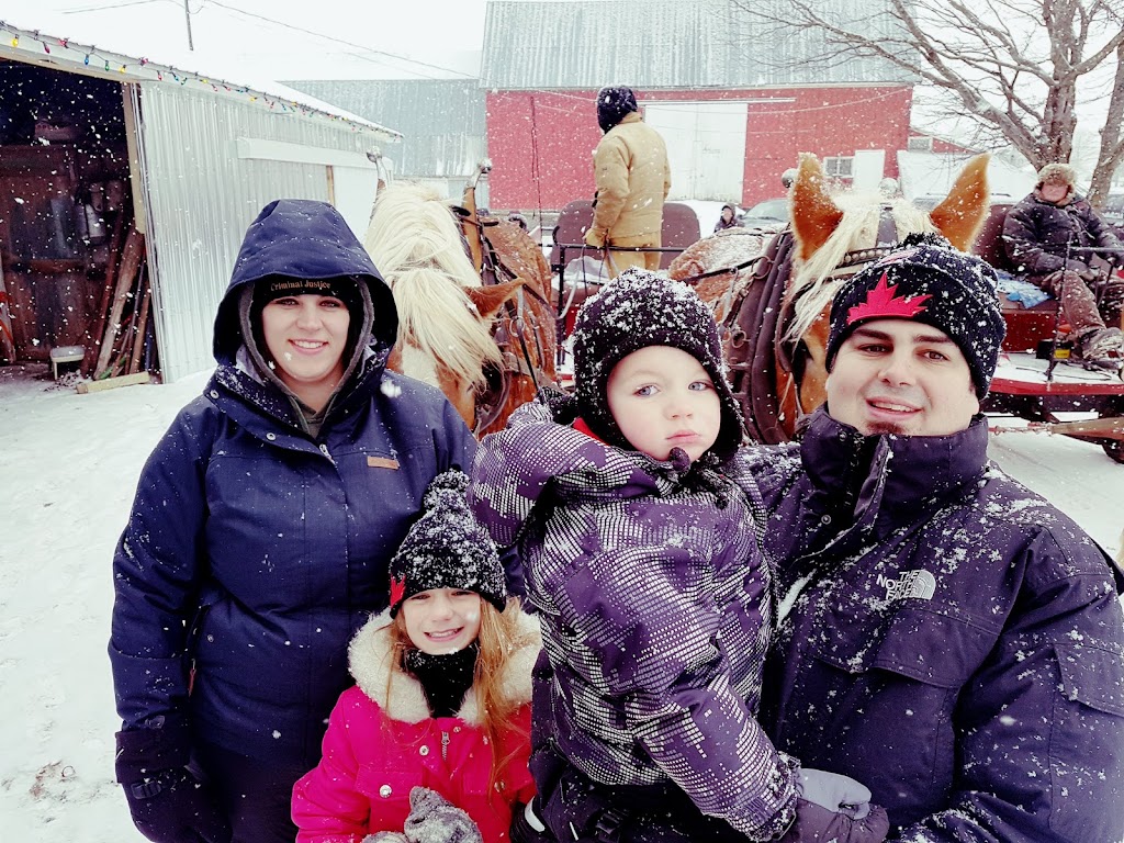 Wild Pasture Farm | 12589 NS-4, Lower Onslow, NS B6L 5E5, Canada | Phone: (902) 814-1070