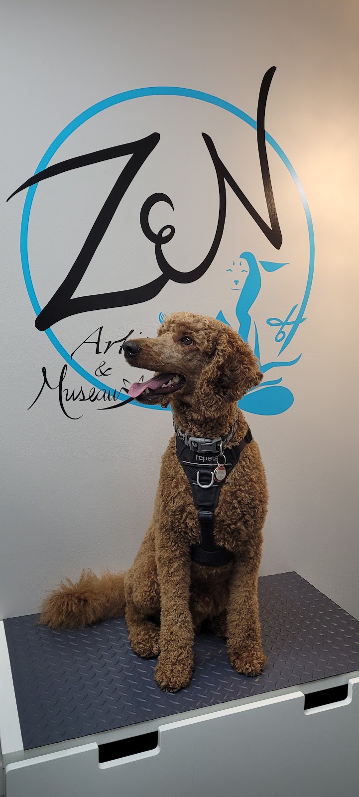 Zen Artiste et Museaux - Toilettage comportemental | Rue Thibault, Laval, QC H7K 3R5, Canada | Phone: (438) 882-0936