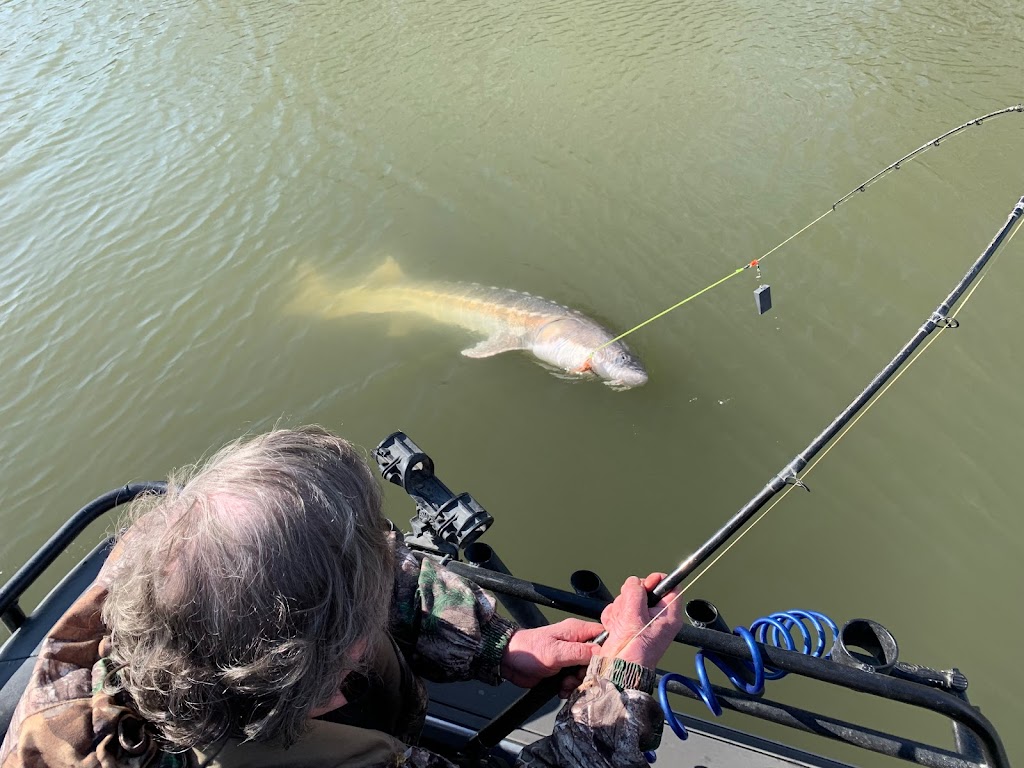 Hooked Up Fishing Adventures | 49830 Camp River Rd, Chilliwack, BC V2P 6H4, Canada | Phone: (604) 316-8880