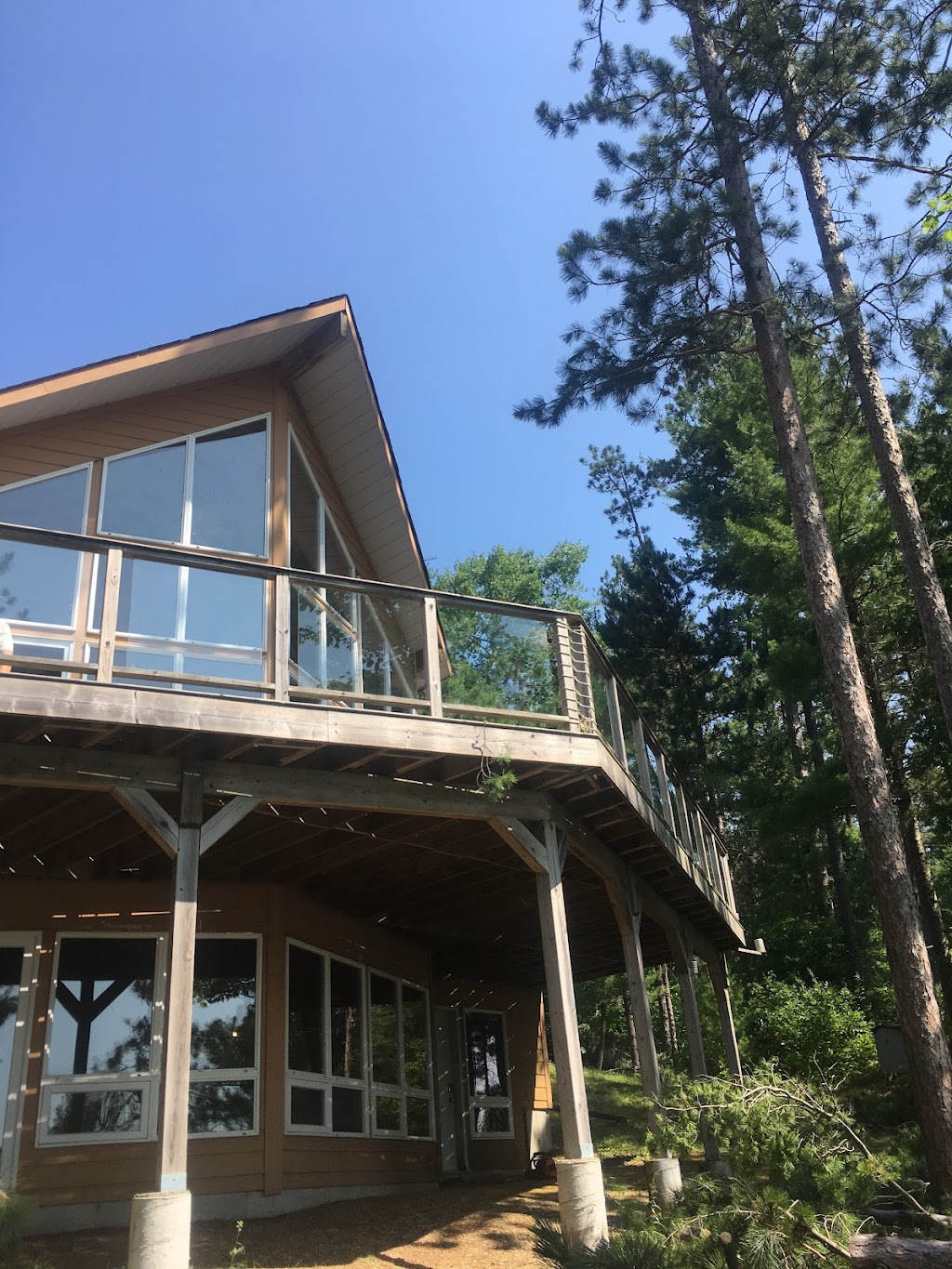 Govier Expert Tree Service | 43 Doxsee Ave S, Campbellford, ON K0L 1L0, Canada | Phone: (705) 559-0276