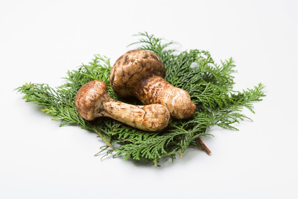 Pacific Rim Mushrooms | 12791 Blundell Rd, Richmond, BC V6Y 1B4, Canada | Phone: (778) 847-1666