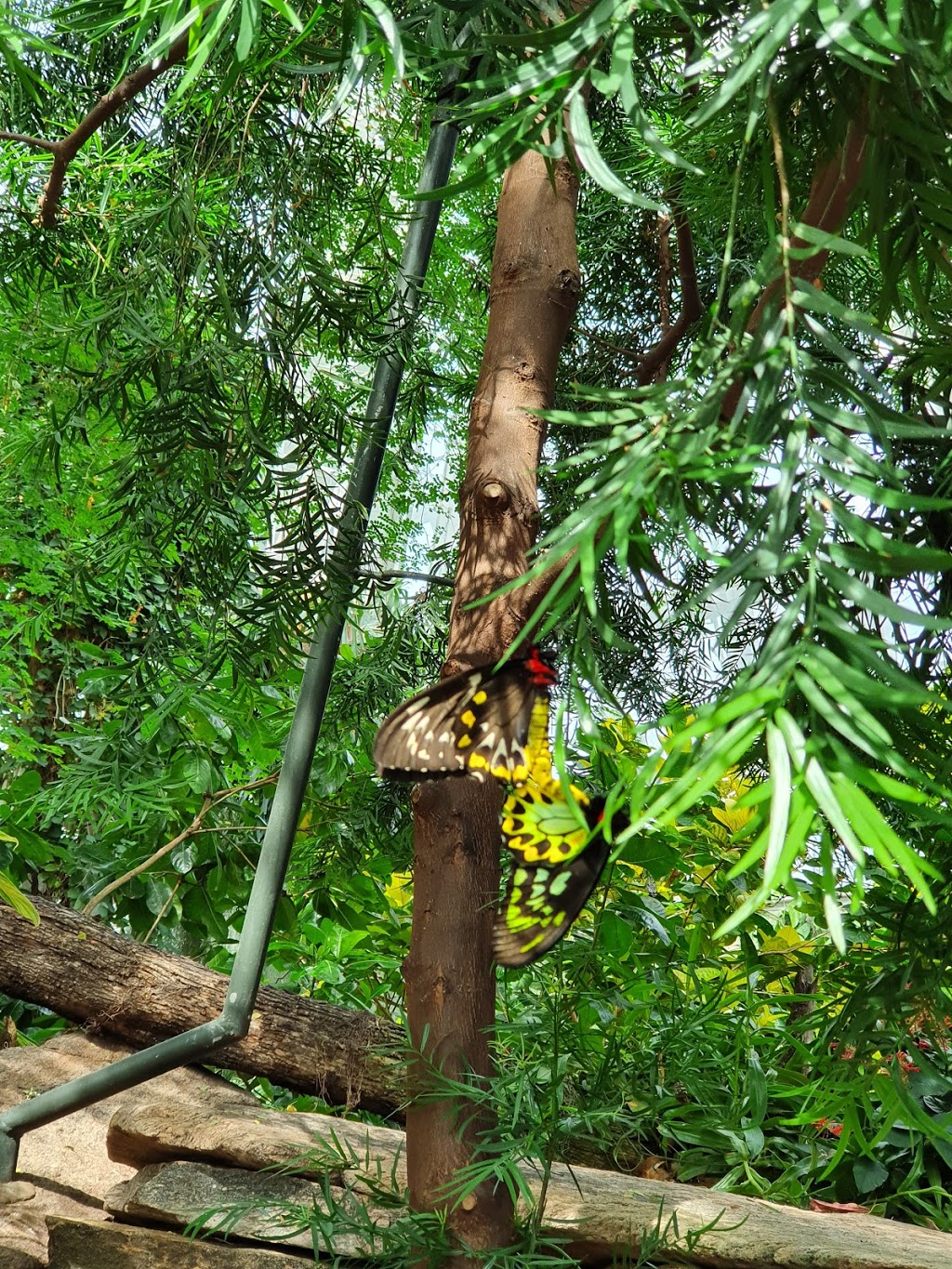Butterfly Conservatory Parking | 2565 Niagara Pkwy, Niagara-on-the-Lake, ON L0S 1J0, Canada | Phone: (905) 358-0025