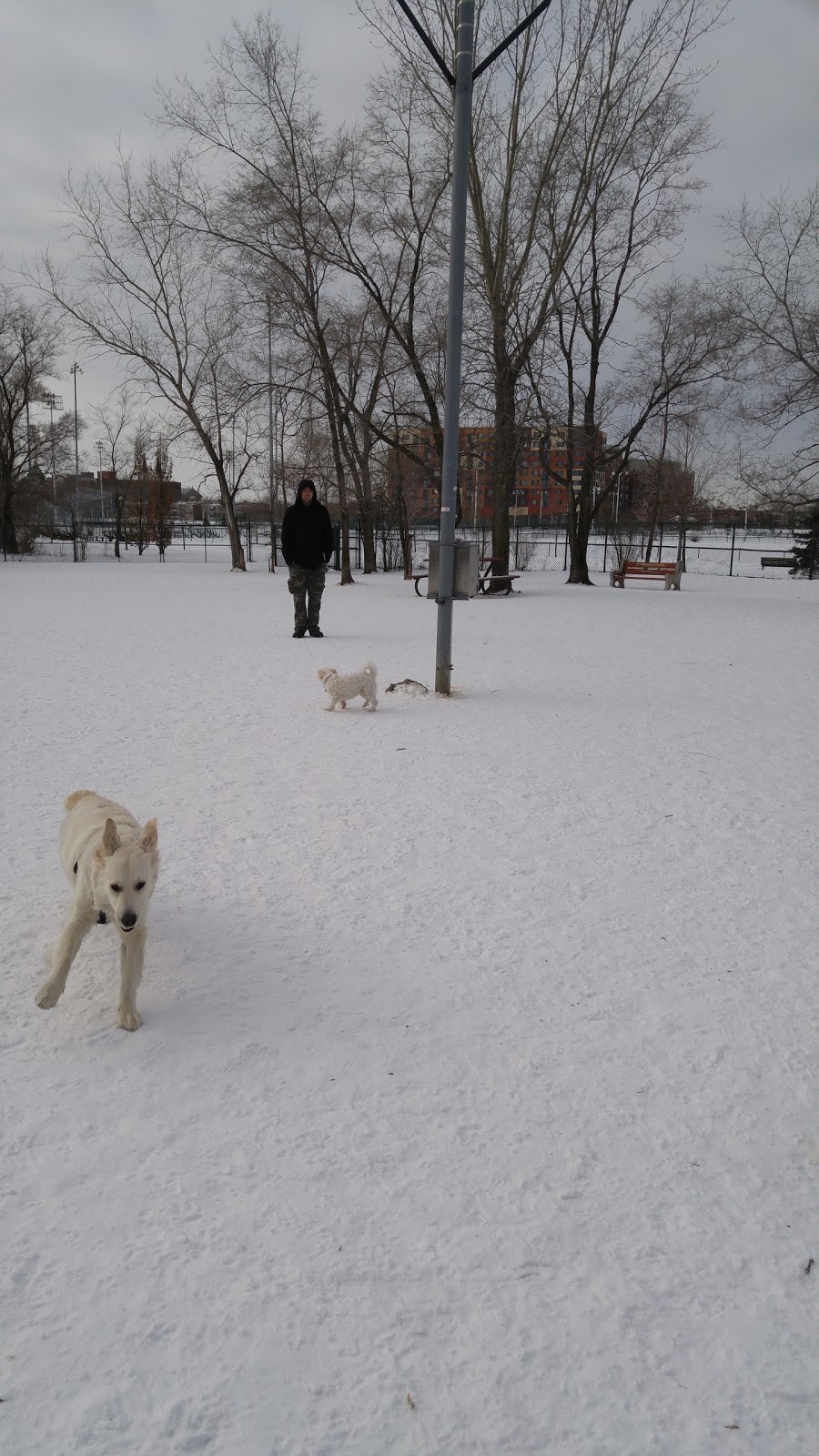Champion Park | Verdun, QC H4G, Canada
