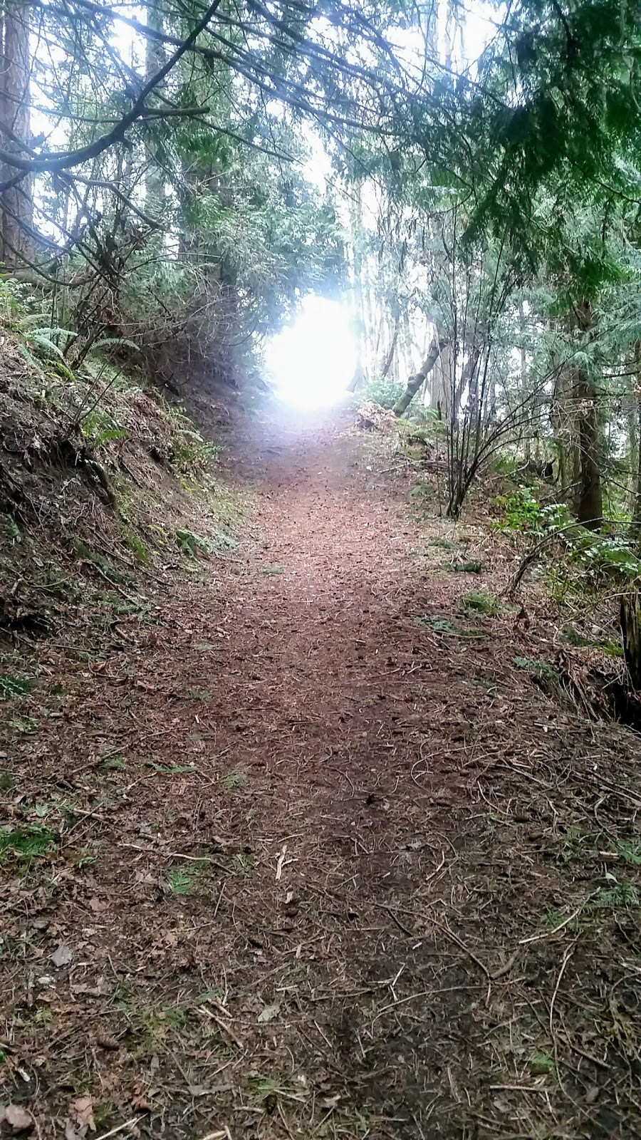 Doumac Park | Doumac Ave, Victoria, BC V8Y 2C4, Canada