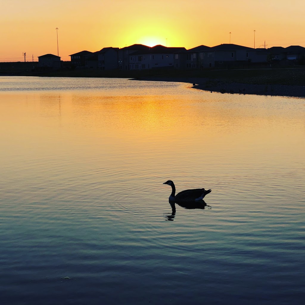 Arth Lake | Angela Everts Dr, Winnipeg, MB R3W 1R4, Canada | Phone: (204) 898-7819