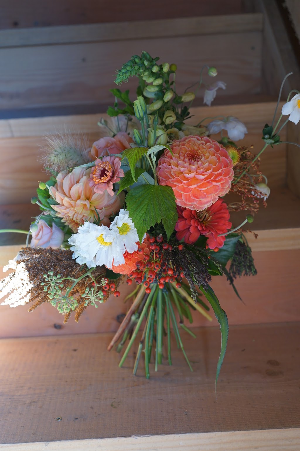 Roots and Shoots Flowers | 115 Chemin de la Beurrerie, Alcove, QC J0X 1A0, Canada | Phone: (613) 277-2757
