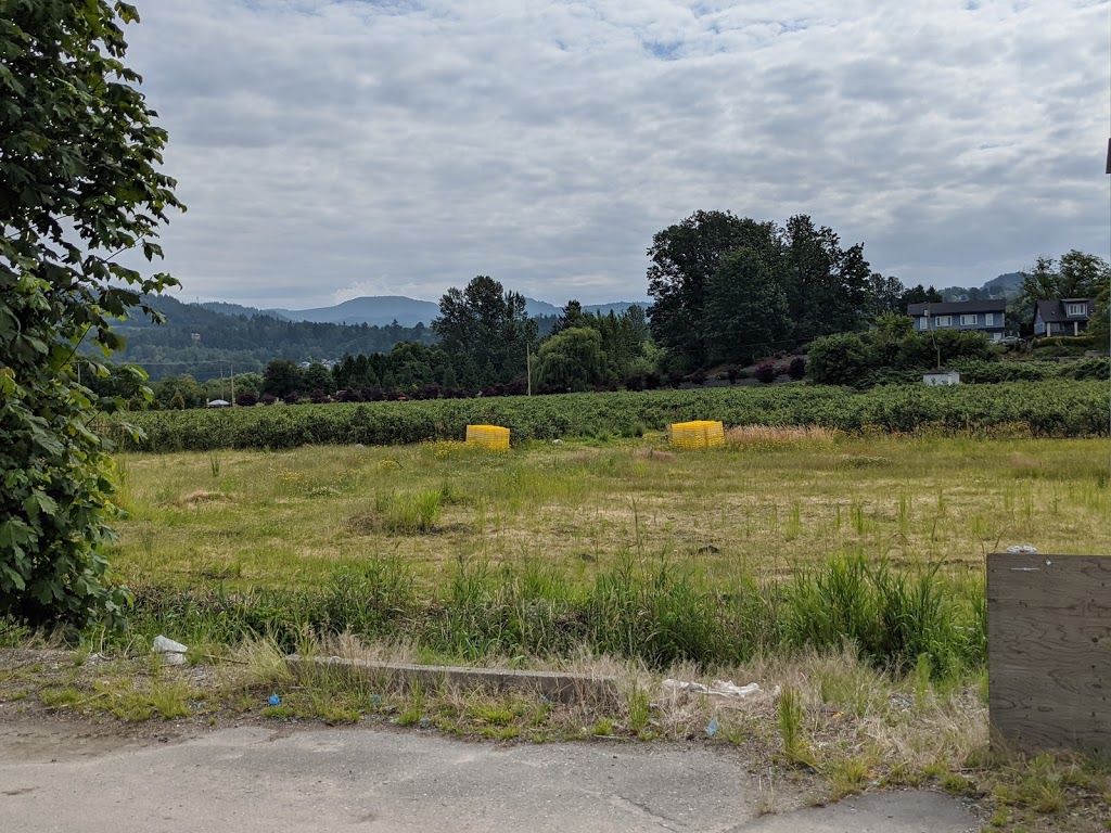 Westberry Farms | 34488 Bateman Rd, Abbotsford, BC V2S 7Y8, Canada | Phone: (604) 850-0377