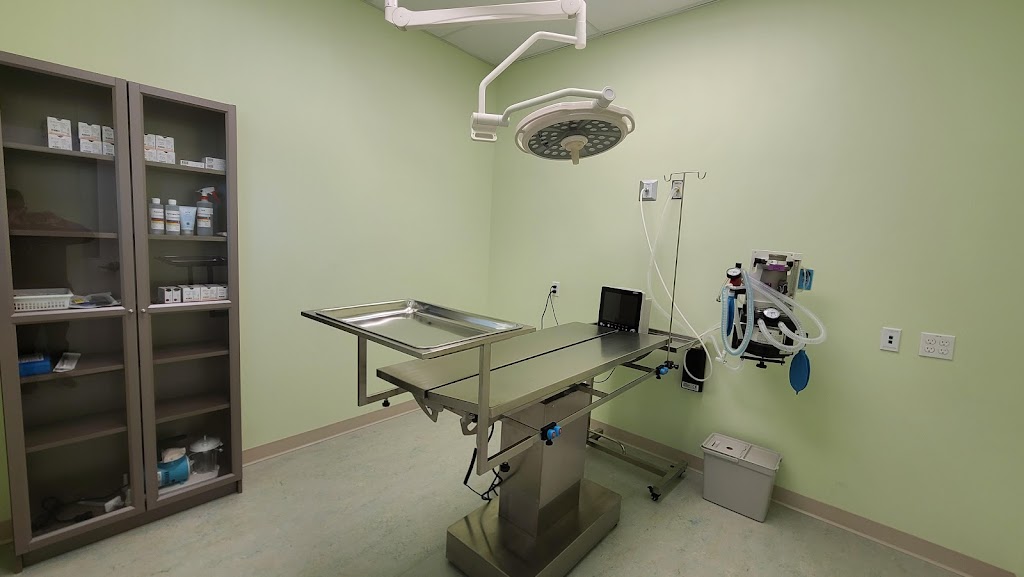 Sanctuary Veterinary Hospital | #236, 241 Sage Valley Common, Northwest, Calgary, AB T3R 1T8, Canada | Phone: (403) 295-0305