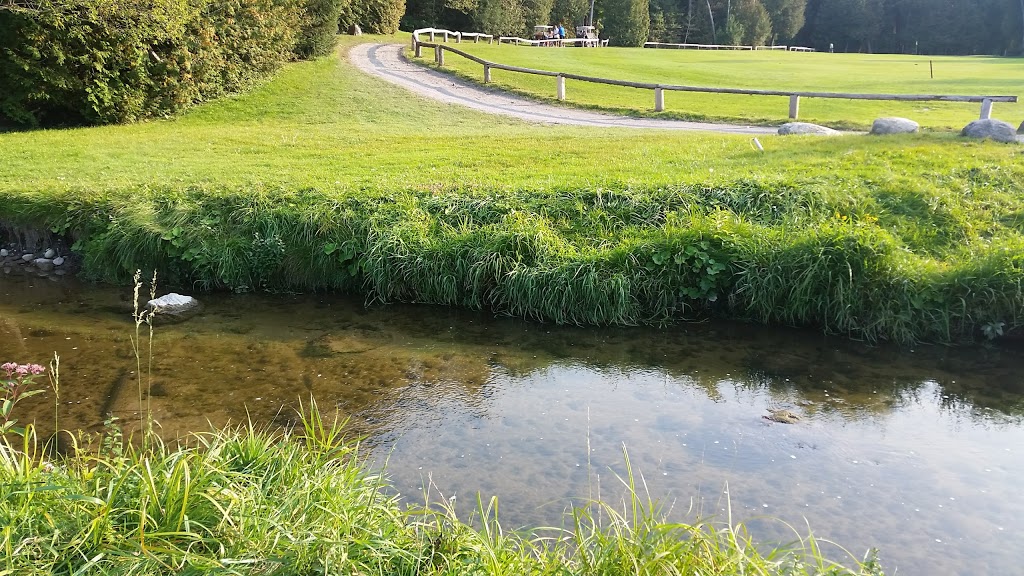 Newcastle Golf and Country Club | 2429 Golf Course Rd, Newcastle, ON L1B 1L9, Canada | Phone: (905) 987-4851