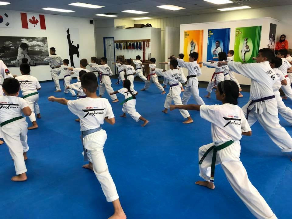 Young Park Martial Arts | 1004 Upper Wentworth St, Hamilton, ON L9A 4V9, Canada | Phone: (905) 387-5425