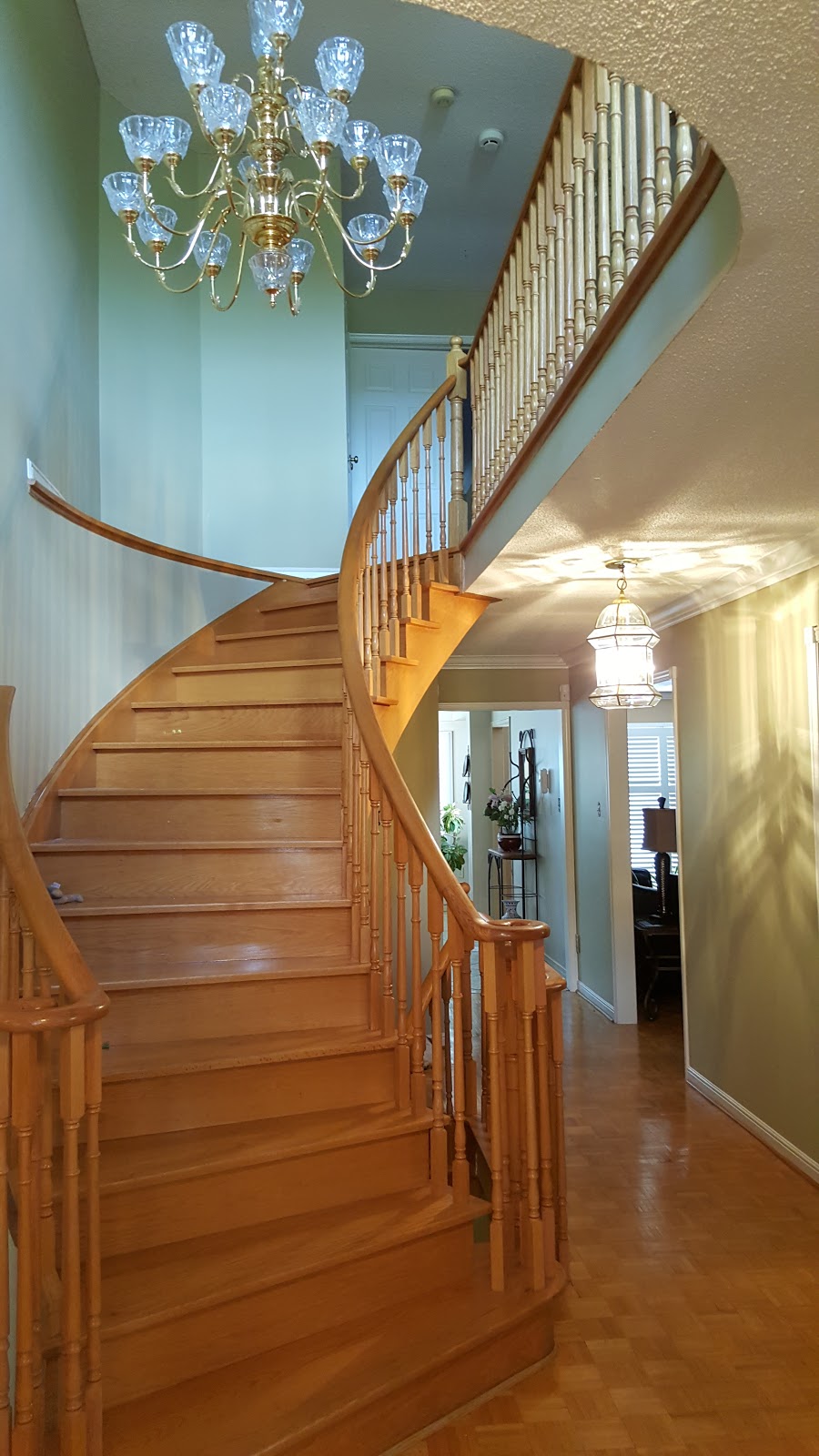 Unique painters | 49 Harlow Crescent, Etobicoke, ON M9V 2Y7, Canada | Phone: (647) 607-1987