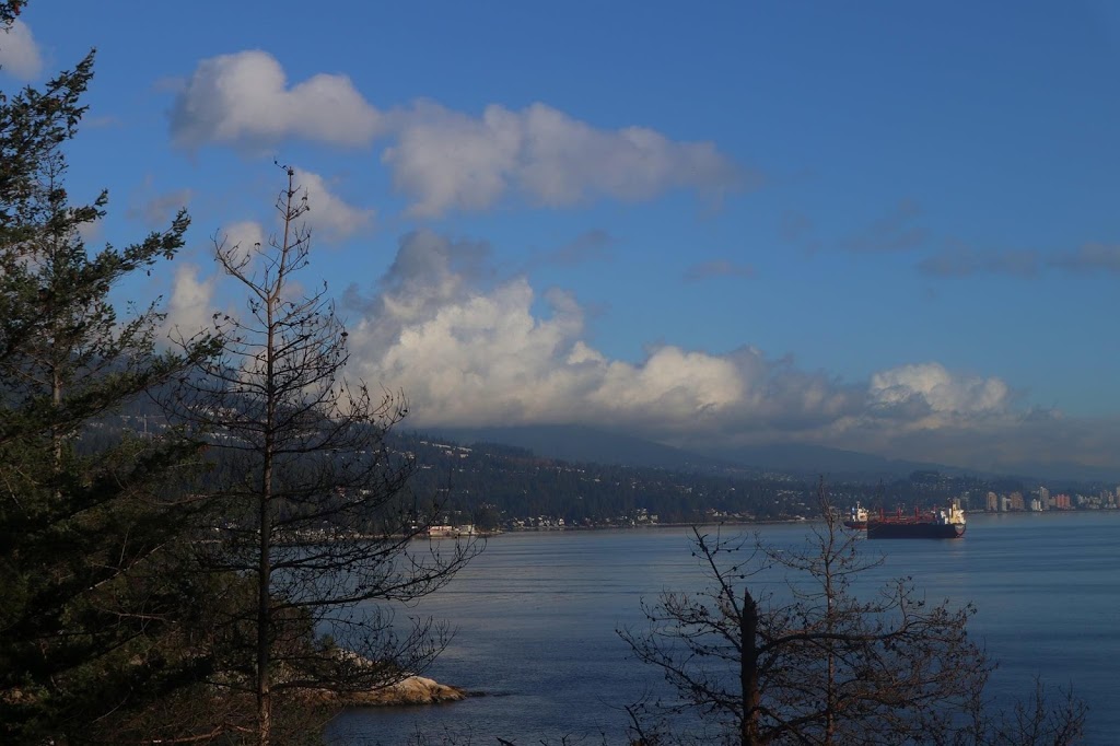 J&I photography | 8760 Maple Grove Crescent, Burnaby, BC V5A 4G5, Canada | Phone: (778) 714-3744