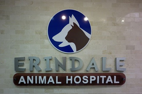 Erindale Animal Hospital | 4040 Creditview Rd Unit 27, Mississauga, ON L5C 3Y8, Canada | Phone: (905) 232-8383