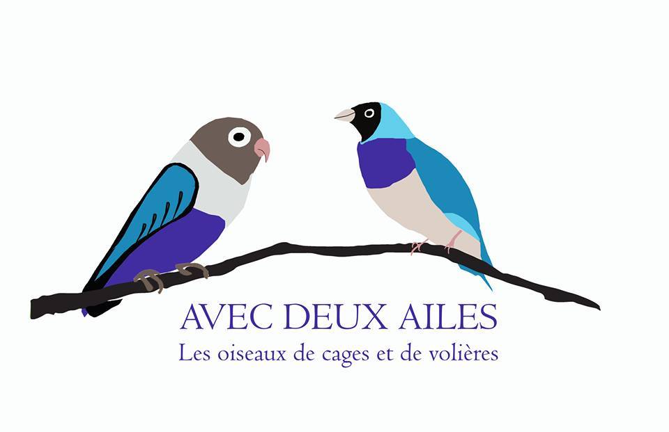 Avec Deux Ailes | Chemin du Grand-Bernier, Saint-Blaise-sur-Richelieu, QC J0J 1W0, Canada