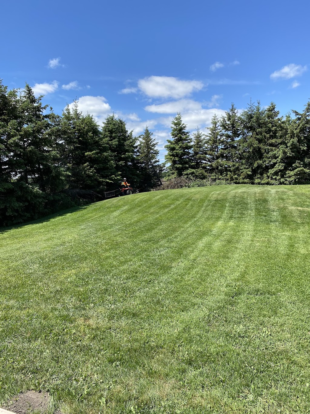 Omr Lawn Services | 5255 Boyne St, Alliston, ON L9R 1V2, Canada | Phone: (705) 440-8586