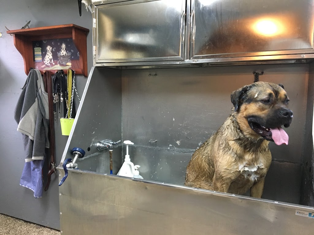 Complexe Canin Le Cajoleur | 220 Rte St André, Saint-Étienne-de-Lauzon, QC G6J 1E8, Canada | Phone: (418) 832-1255