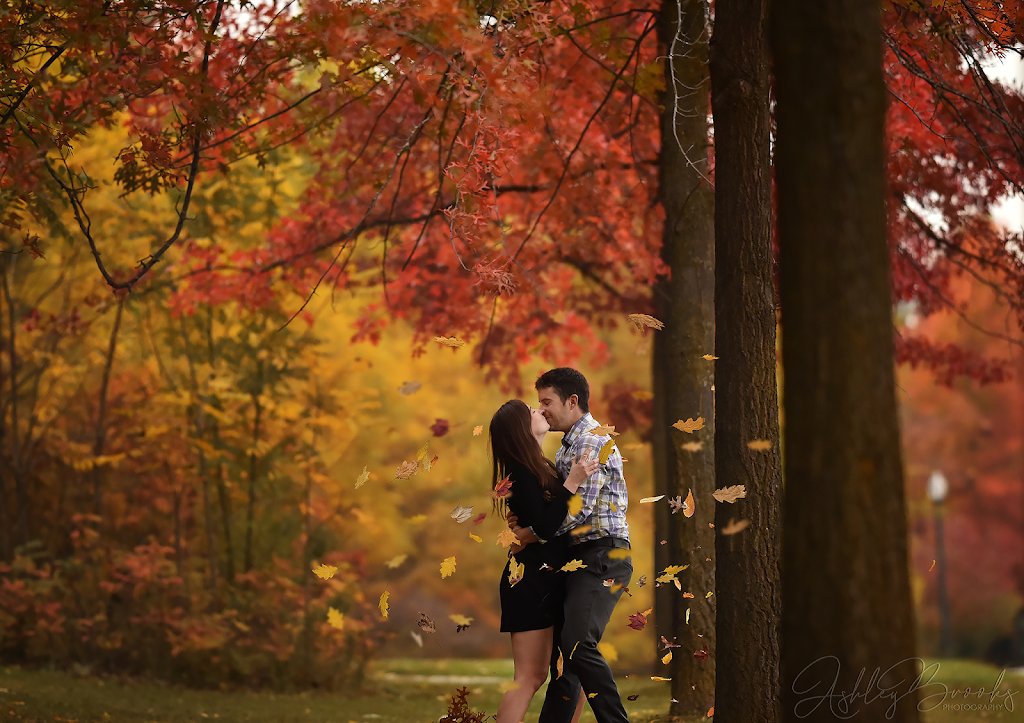Ashley Brooks Photography | 77 Pembers Pass, Woodstock, ON N4S 8Z7, Canada | Phone: (519) 537-4394