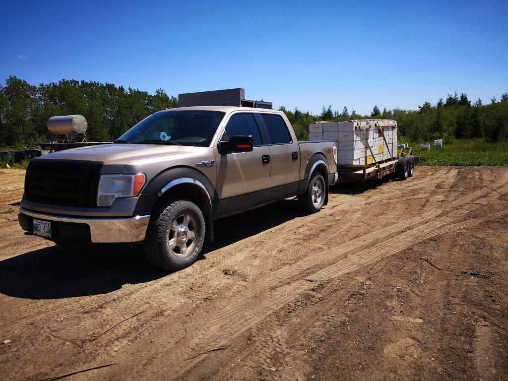 Reger Honey Farm | 28036 Lasko Rd, Marchand, MB R0A 0Z0, Canada | Phone: (204) 424-9164