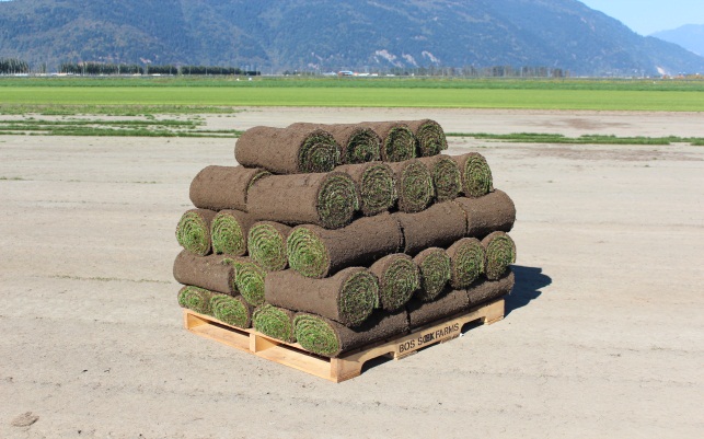 Bos Sod Farms Inc | 2565 Dixon Rd, Abbotsford, BC V3G 2H2, Canada | Phone: (604) 854-1415