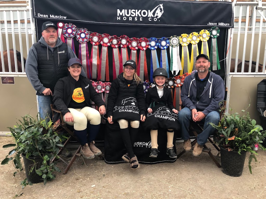 Muskoka Horse Co Inc. | 4171 Line 11 N, Coldwater, ON L0K 1E0, Canada | Phone: (705) 641-0754
