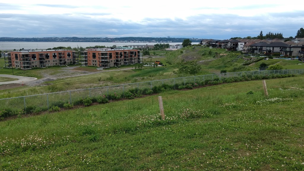 Parc de la Cimenterie | 164 Rue Latouche, Québec, QC G1E 0B8, Canada | Phone: (418) 641-6045