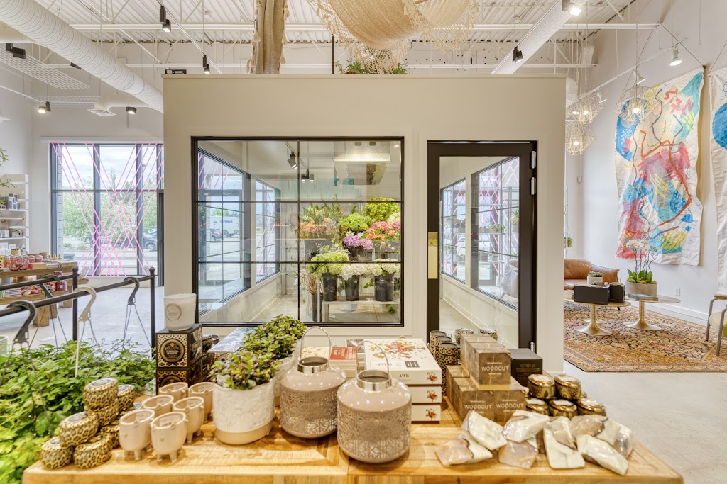 Swish + Company | 14225 23 Ave NW, Edmonton, AB T6R 3E7, Canada | Phone: (780) 437-7493