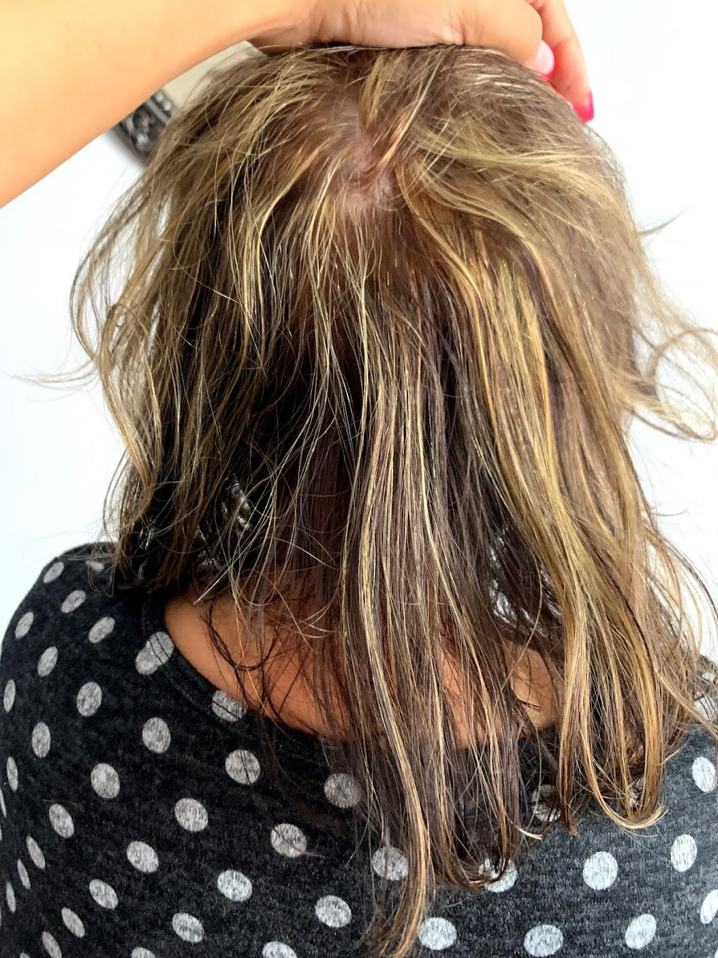 Donato Salon | 25 The West Mall, Etobicoke, ON M9C 1B8, Canada | Phone: (416) 862-2800