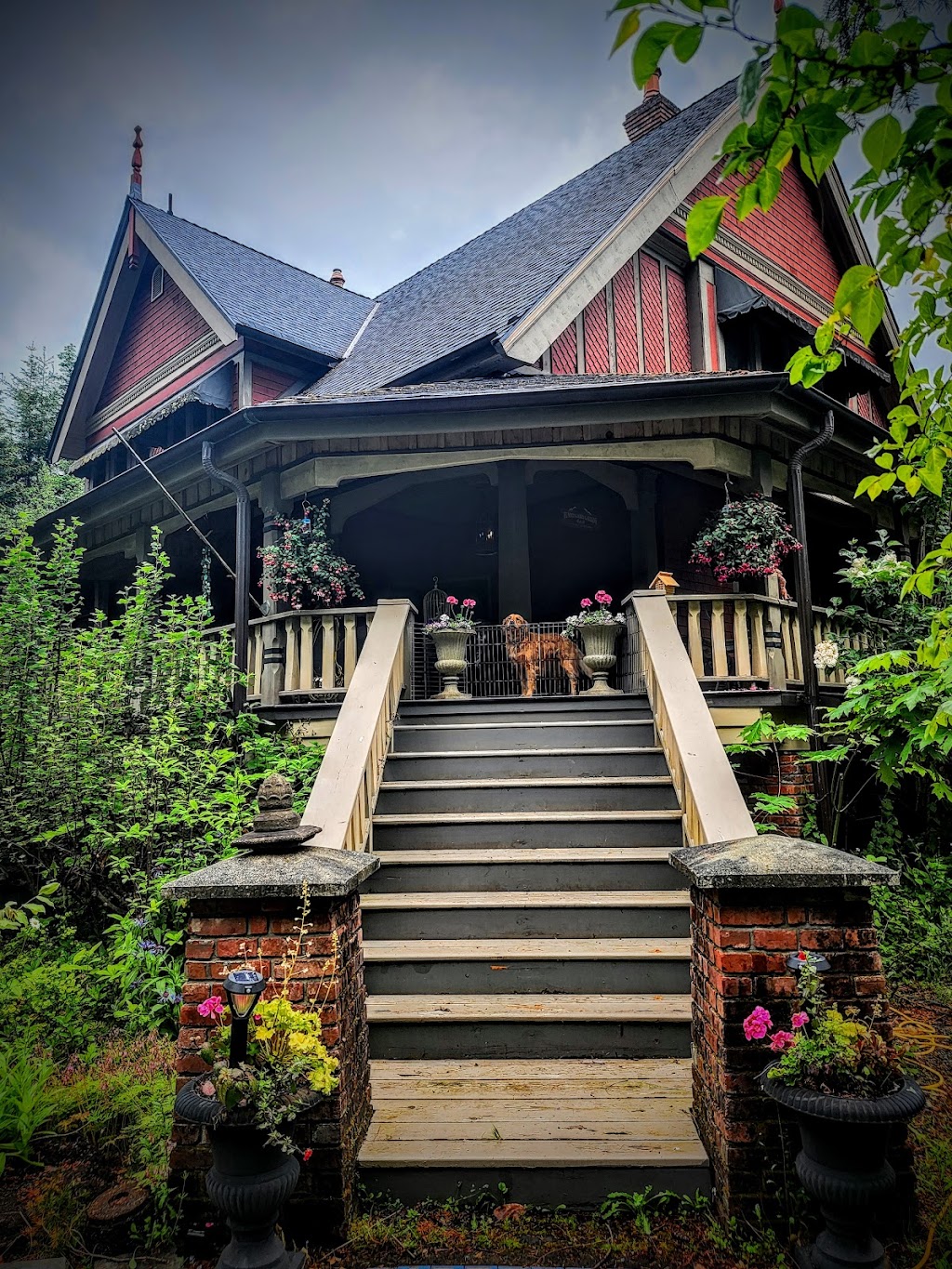 Hummingbird Gardens B&B | 3847 Fearn Way, Ladysmith, BC V9G 1K7, Canada | Phone: (778) 269-4866