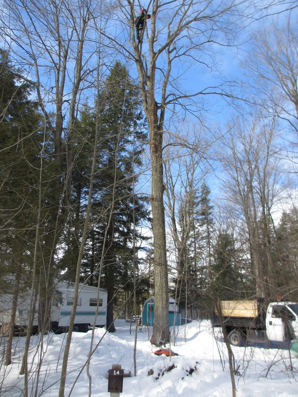 Grey Bruce Tree Workers | 11 Cameron St, Tiverton, ON N0G 2T0, Canada | Phone: (800) 561-7629
