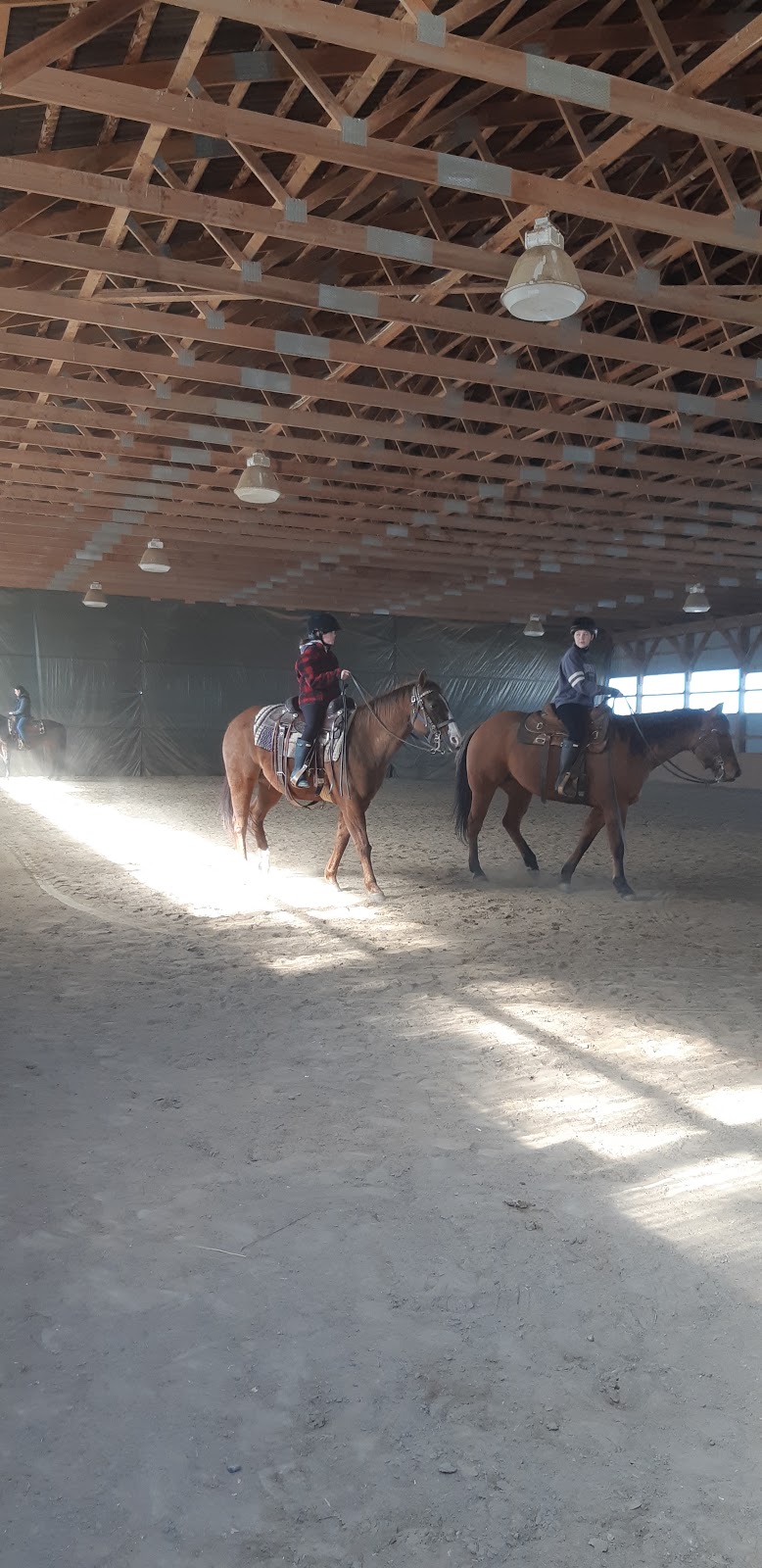 Rusty Jade Ranch | 18070 Duffys Ln, Palgrave, ON L7E 3C4, Canada | Phone: (416) 938-1830