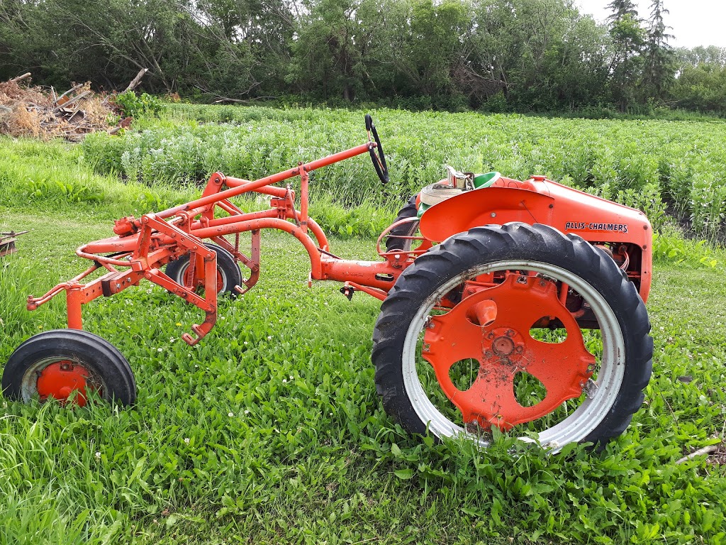 Brenneis Vegetable Garden Ltd | 16580 6 St NW, Edmonton, AB T5Y 6K7, Canada | Phone: (780) 473-7733
