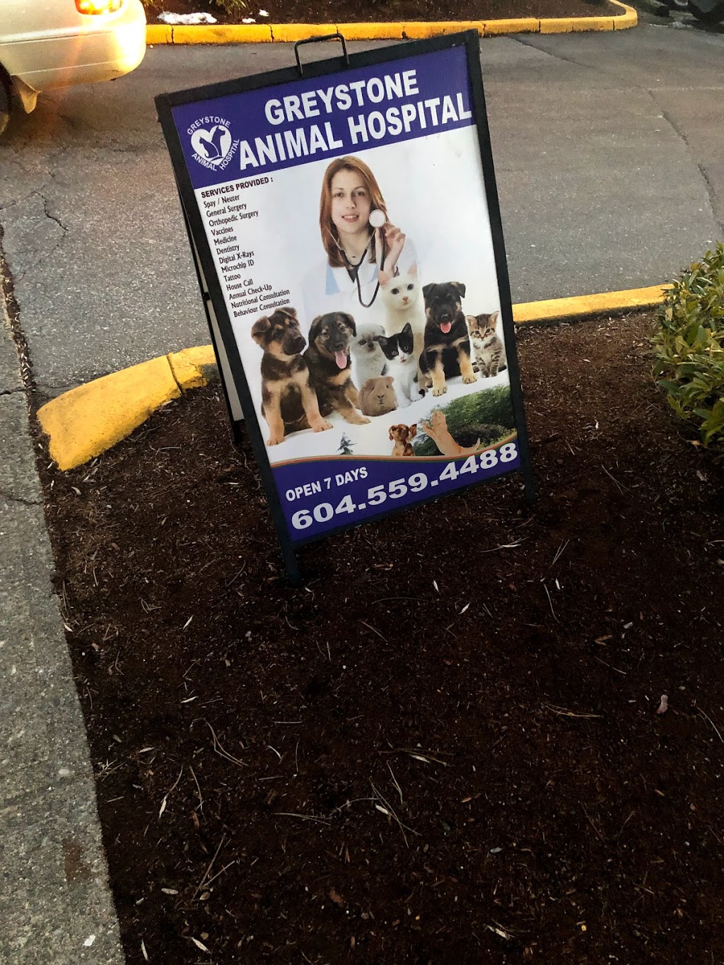 Greystone Animal Hospital | 1601 Burnwood Dr #7, Burnaby, BC V5A 4H1, Canada | Phone: (604) 559-4488